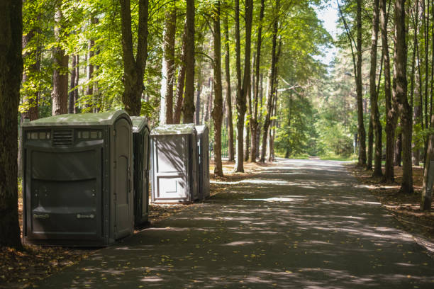 Portable sink rental in Pine Valley, CA